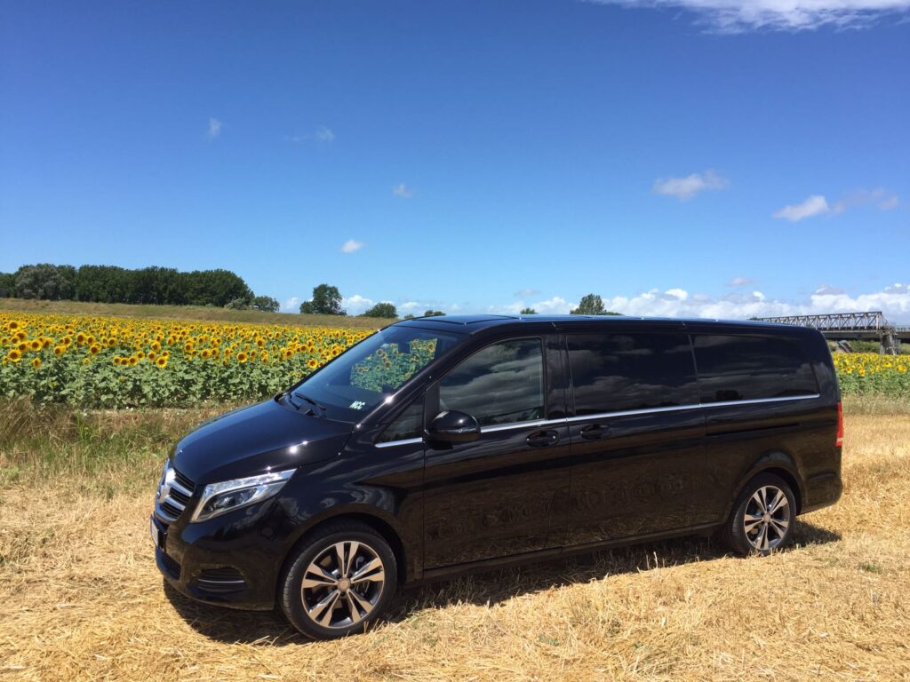 Van Mercedes tra i campi di girasoli